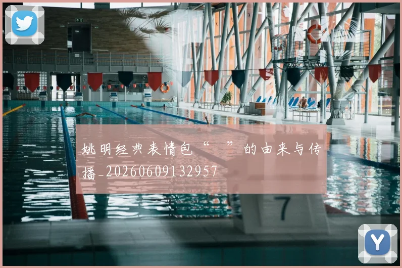 姚明经典表情包“囧”的由来与传播_20260609132957